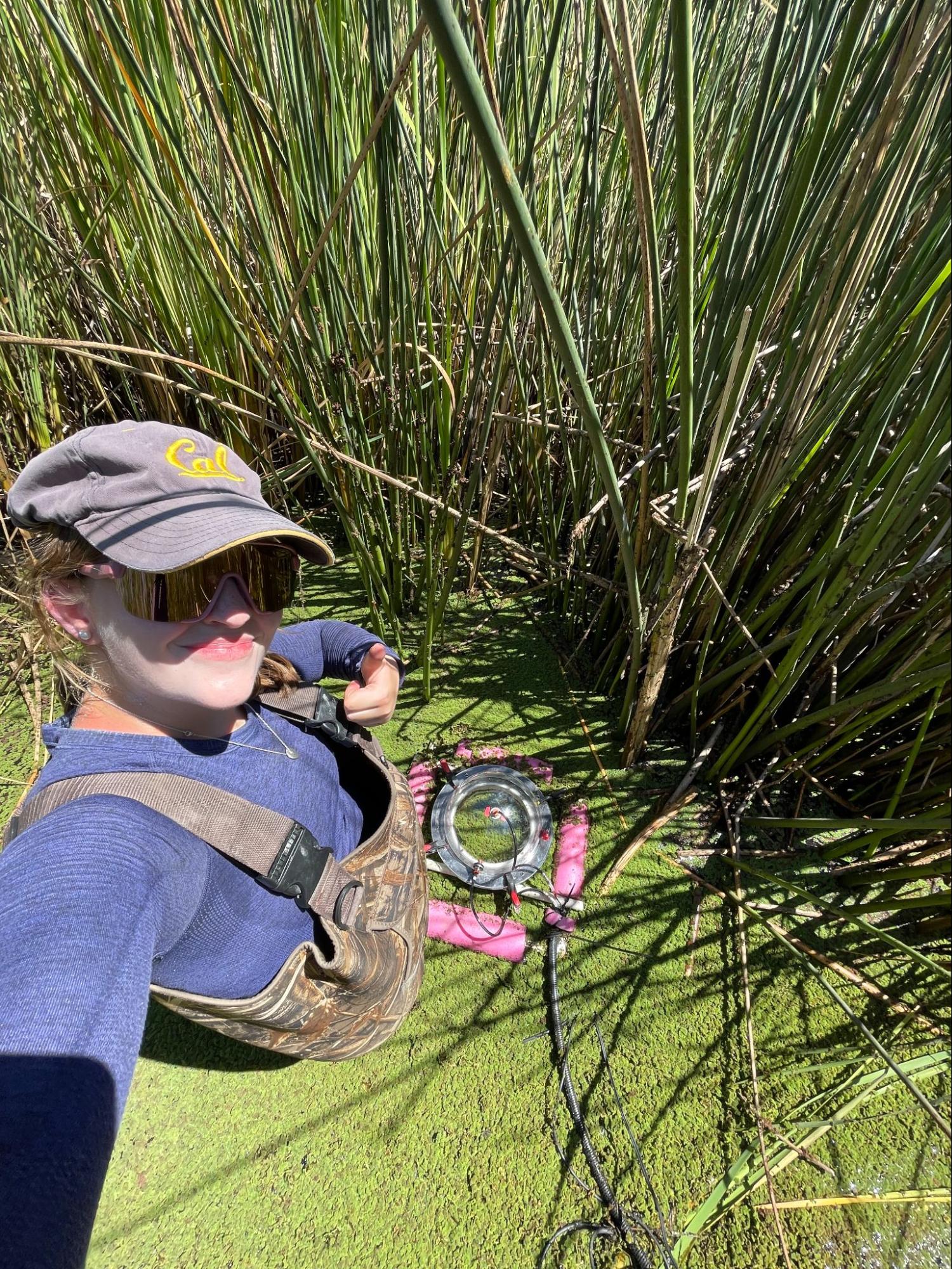 person in wetlands