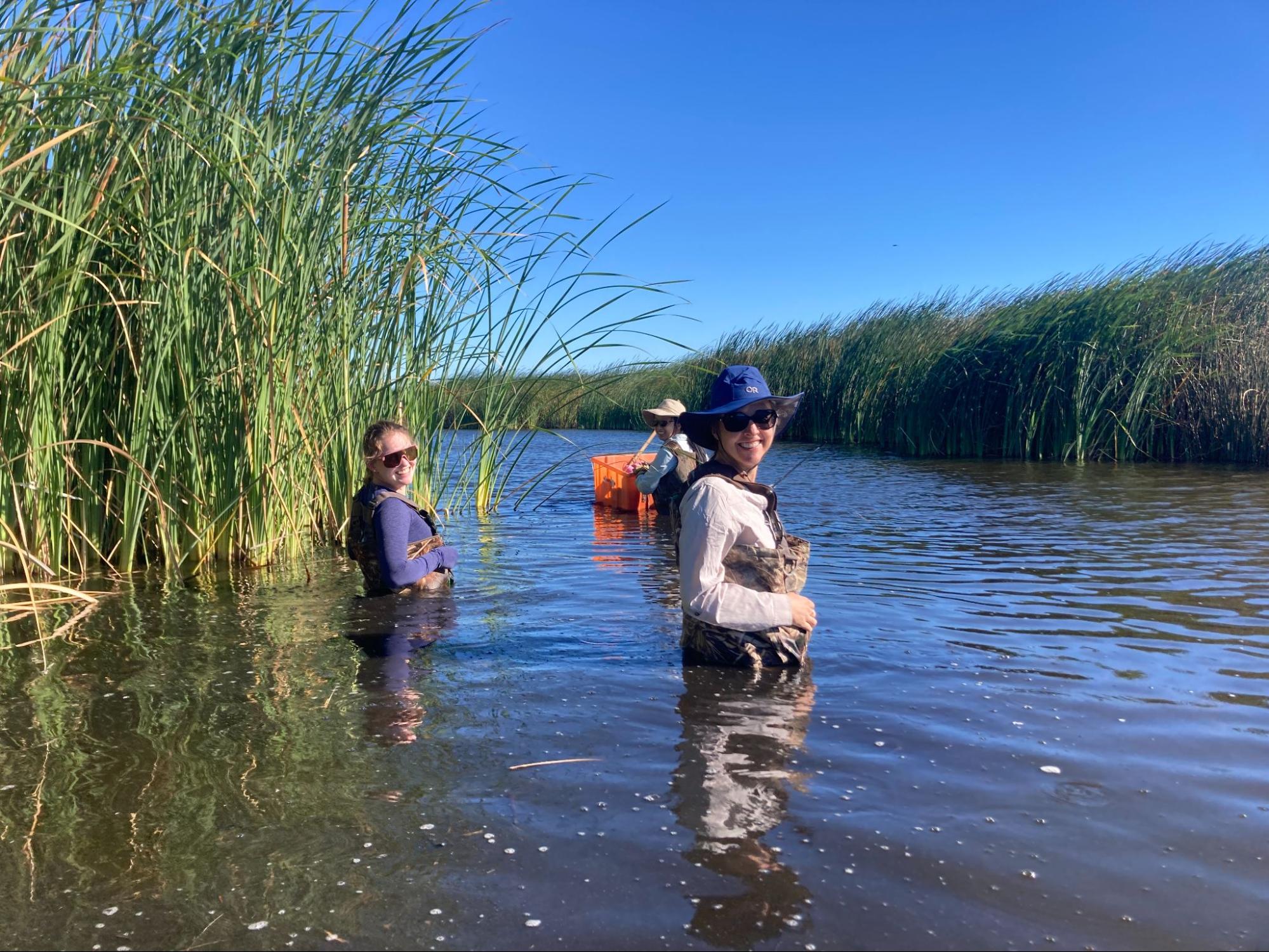 Mapping Land Use Change in the Sacramento San-Joaquin River Delta